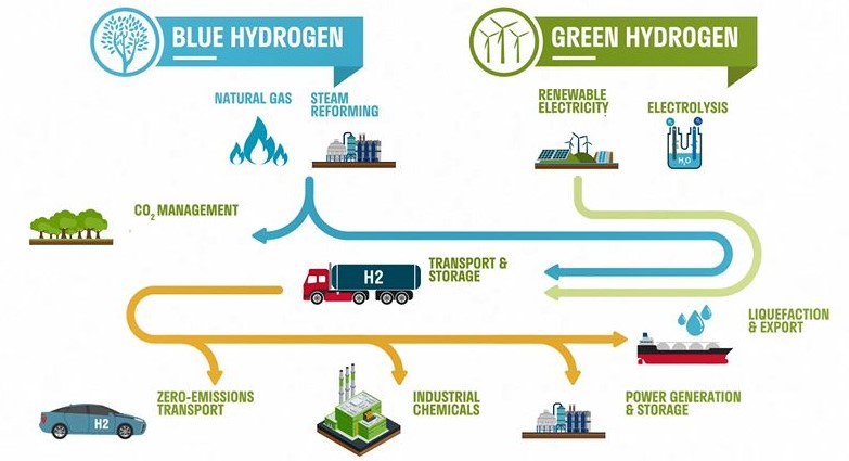 Supply chains of Blue and Green hydrogen